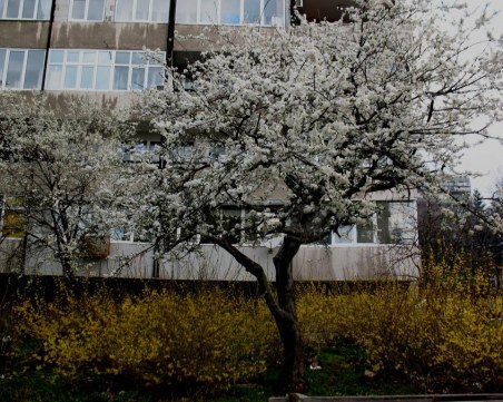 Всяка трета сделка в София – с евтино жилище. Атрактивни са: 