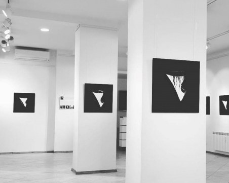 Двайсет еднакви, но различни снимки в уникална изложба ВИДЕО