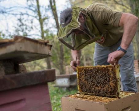 Странджанският манов мед вече е защитен продукт в ЕС