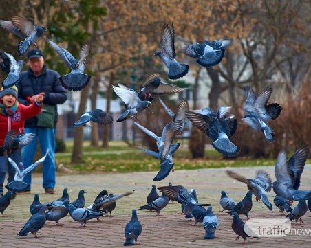 Къде да отидем в сряда в града под тепетата?