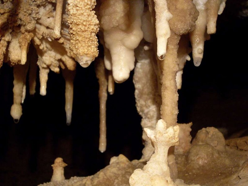 Духлата – най-дългата пещера в България. 18 км подземно царство!