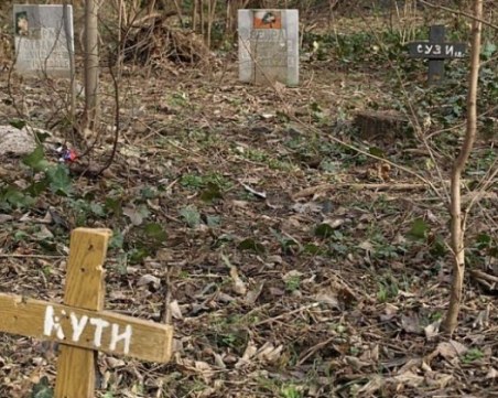 Гробище за домашни любимци? Заравяме кучетата си сами и незаконно по полянки и вили