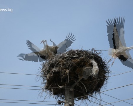 Потърсихме късмета и го намерихме! ВИДЕО