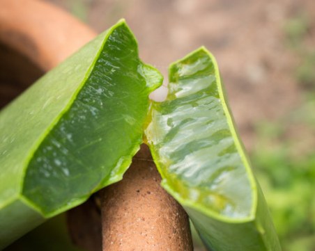 Как да забавим появата на бръчки около очите?