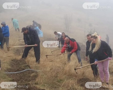 Доброволци създадоха борова гора край Пловдив