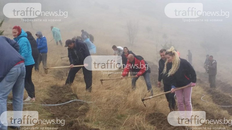 Доброволци създадоха борова гора край Пловдив