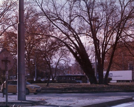 Да се влюбиш на кръгово кръстовище в центъра на Пловдив! Възможно ли е?