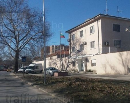 Затворник от Пловдив се напуши с бонзай, осъмна в стационара