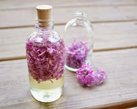 Как да си направим масло от люляк?