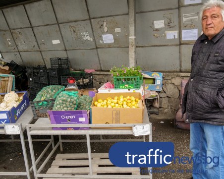 Реколтата е унищожена, ще ядем български череши по 5 лв.