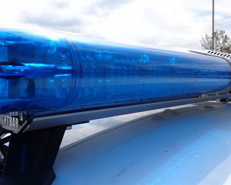 Ротвайлери нахапаха 3 деца и възрастен мъж край село Железница