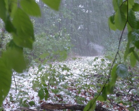 Градушка падна и в Дупница
