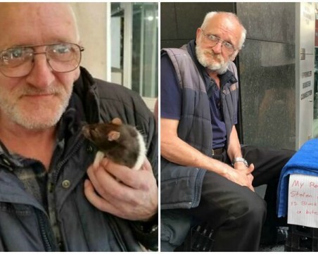 Откраднаха плъх от бездомник в Сидни, полицията е на крак