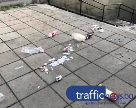 Пловдивски вандали решиха, че мястото на боклука не е в кошчето