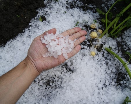 Ситна градушка удари карловското село Климент