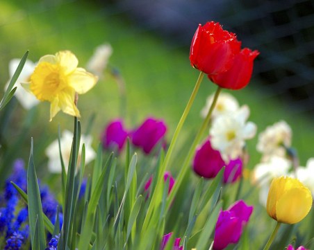 Времето през идните дни: Слънчеви сутрини, дъждовни следобеди