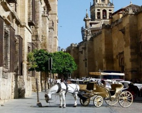 Коя е най-посещаваната страна в света?