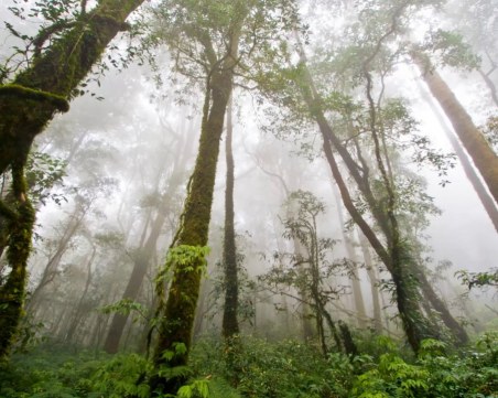 Гарантирано от синоптиците: Дъждовна седмица с ниски температури