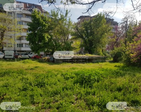 Граждански арест и полицейска намеса след скандал в частния парк в Пловдив
