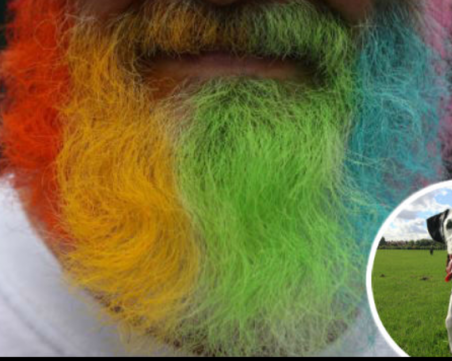 Кучетата по-чисти от брадатите мъже?