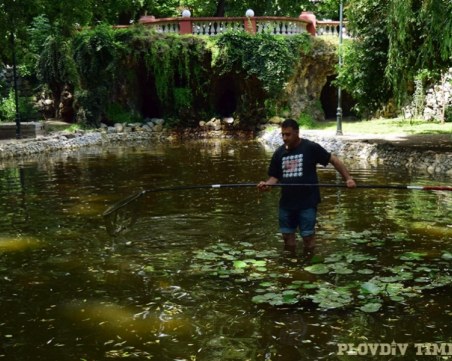 Общинско предприятие търси водопроводчик и дърводелец в Пловдив