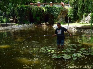 Общинско предприятие търси водопроводчик и дърводелец в Пловдив