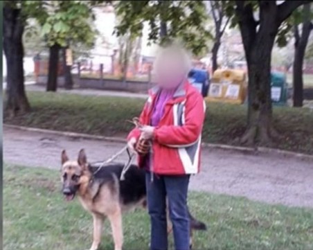 Домашно куче нападна 8-годишно дете на детска площадка във Враца