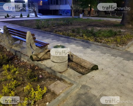 Изхвърлиха трупа на цивилизования човек, завит в килим, в центъра на Пловдив