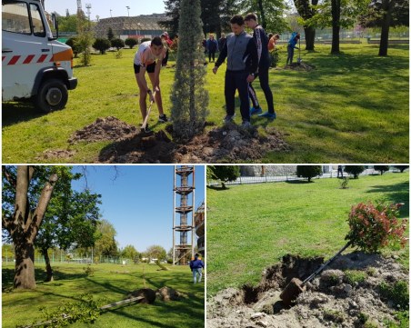 За първи път в Пловдив: Екзотични  дървета обогатиха зелената система на Гребната