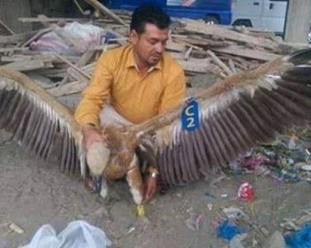 Историята на деня: Лешояд, маркиран у нас с предавател, задържан за шпионаж в Йемен!?