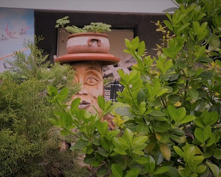 Как изглежда градинката пред вашия дом? Да направим града си красив!