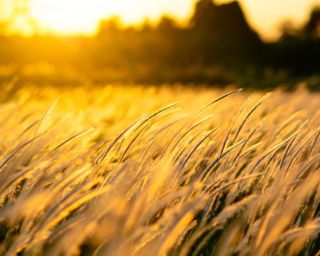 Силен вятър ще понижи температурите днес