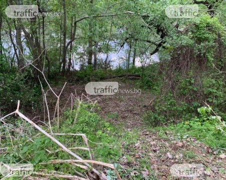 Вдигнаха самолета, разбил се край пловдивското село Оризари