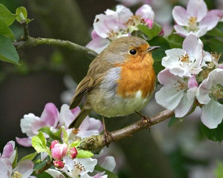 През Страстната седмица времето ще е: Слънчево, топло, с малко дъжд!
