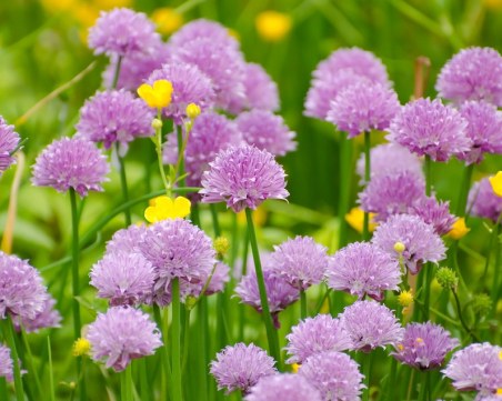 Дъждът си отива, слънцето се връща. На Великден обаче ще вали