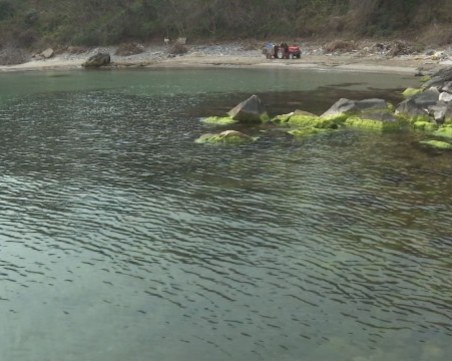 Кой строи в 