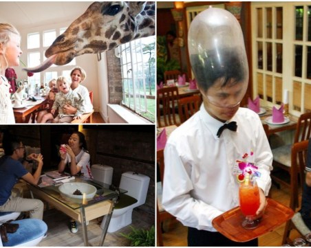 Най-странните ресторанти в света: Да се храниш върху тоалетна чиния или заедно с жираф