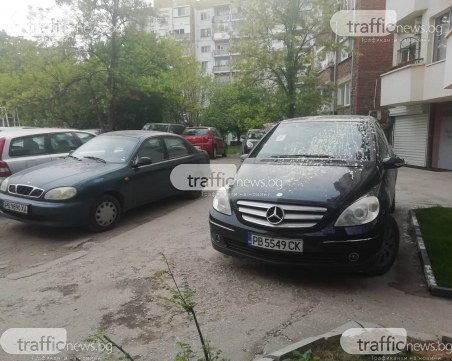 Първи частен КАТ в Пловдив! Не вярвате ли? Собственикът на този мерцедес повярва...