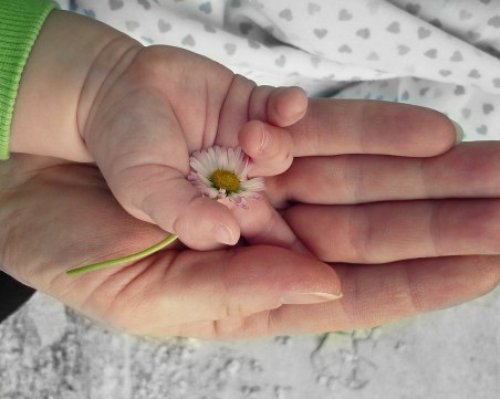 40% от бъдещите майки у нас си правят биохимичен скрининг. Защо е важен?