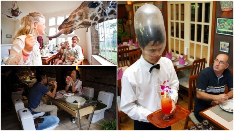 Най-странните ресторанти в света: Да се храниш върху тоалетна чиния или заедно с жираф