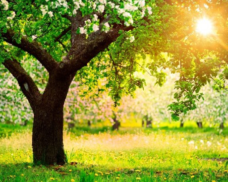 На Разпети петък: Температурите се покачват още, гонят до 28°C