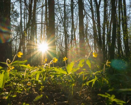 Слънчев четвъртък, а градусите до 25. Петъкът – още по-топъл