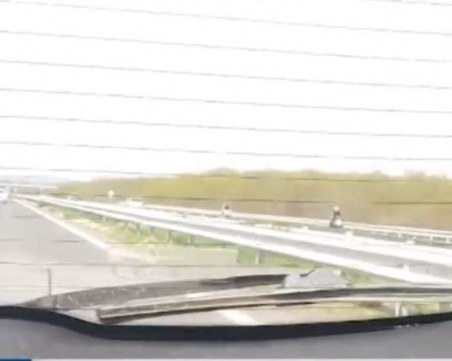 Самоубийци! Мотористи в насрещното на АМ 