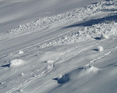 Лавина уби четирима души в швейцарските Алпи