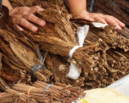 Контрабанден тютюн от България за 1,65 млн. долара откриха в Хонконг