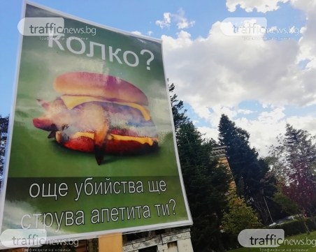 Вегани на протест: Църквата да не застава зад трапези, на които има трупове!