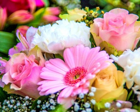 Борис и Боряна имат повод да почерпят днес