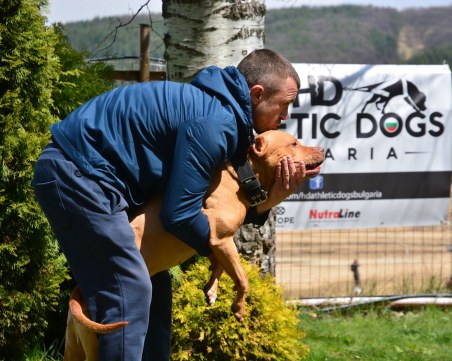 ДА на кучешките състезания, НЕ на кучешките боеве