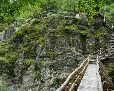 Правят 50 еко кътчета в Пловдив и региона