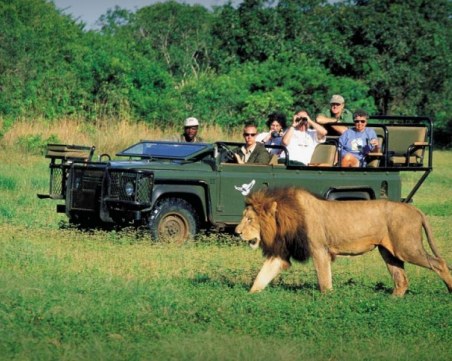 Френски туристи изчезнаха докато наблюдават диви животни в Африка